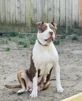 processed/f8ed118c-a1b4-43f7-b395-5865e48a17e1/facility/5f78f65a-4ffb-462e-b575-4fde743f314e