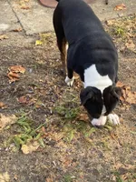 processed/f8ed118c-a1b4-43f7-b395-5865e48a17e1/facility/9ee5ca56-f3b3-4ad6-b19d-ebb1f828713f