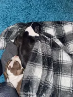 processed/f8ed118c-a1b4-43f7-b395-5865e48a17e1/facility/a98369ac-8951-4bf9-bad5-71a808744378