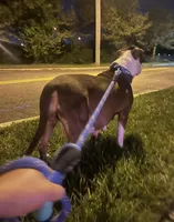 processed/f8ed118c-a1b4-43f7-b395-5865e48a17e1/facility/b17ada57-c3ce-4699-bb2a-25e007dd3ed2