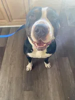 processed/f8ed118c-a1b4-43f7-b395-5865e48a17e1/facility/baf77995-7fed-4fce-8565-a87c998ac832