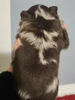 processed/f8f58c89-e275-46f4-a4c6-5ab75bbb80ff/listing/4ca18771-e464-48fa-b904-173ed729ba4e/895b5f58-6d28-4815-a33a-b1a1e648519f