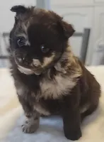 processed/f8f58c89-e275-46f4-a4c6-5ab75bbb80ff/listing/4ca18771-e464-48fa-b904-173ed729ba4e/b5166afc-69ff-4c11-ae05-901ec51acb9f