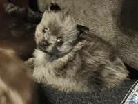 processed/f8f58c89-e275-46f4-a4c6-5ab75bbb80ff/listing/c32e8bd3-f721-493e-9d3e-1efb0b4ae52b/74efcbf6-dcd5-44c7-aa61-c6ebb5a1460c