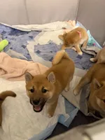 processed/f9046a49-942f-40ce-a549-7217416ecb3b/listing/b554eb29-02bc-43f0-ae65-b2564f6812c8/cd7bc95e-68c2-416e-946b-481529bdb94c