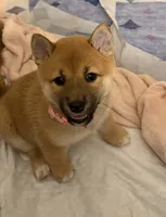 processed/f9046a49-942f-40ce-a549-7217416ecb3b/listing/b554eb29-02bc-43f0-ae65-b2564f6812c8/ea8be4fb-df48-4318-aa5a-9d26d7689a3a