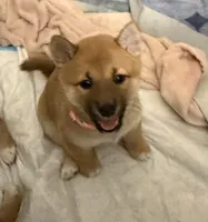 processed/f9046a49-942f-40ce-a549-7217416ecb3b/listing/b554eb29-02bc-43f0-ae65-b2564f6812c8/f2b13a3c-f51c-46d6-835a-d63e60ddd8cc