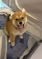 processed/f9046a49-942f-40ce-a549-7217416ecb3b/listing/d88da66d-db50-4335-afad-ab1640ed37cc/e10e4669-53d2-43f5-8b44-2c6a1f2769e5