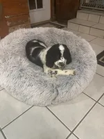 processed/f91e8012-5da6-4de4-8fc8-5b84b3e72988/listing/e12428c8-080f-4289-8c21-8779ef5259a5/3ad6b075-0518-48f8-a863-32271f72f5c6