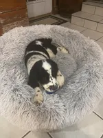 processed/f91e8012-5da6-4de4-8fc8-5b84b3e72988/listing/e12428c8-080f-4289-8c21-8779ef5259a5/f7f1512a-a5f6-42fa-b774-6d05436c502b