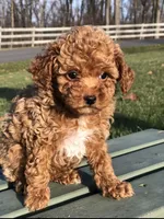 processed/f92561ee-c8ea-40a5-bb1c-d43149c345f9/facility/d262eaa7-c38d-436f-97a3-13c7721416c5