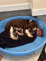 processed/f926b885-560c-402a-bbd0-027cebeee34c/facility/56785976-5d21-494b-b064-3ec79e036137