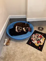 processed/f926b885-560c-402a-bbd0-027cebeee34c/facility/bbddb9d1-6c71-420e-b0aa-d257995000e9