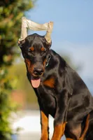 processed/f936fd13-7ab1-4b8e-b372-4e5d32ee3cea/facility/2b3c104b-8f20-4bd3-aaa0-765f9b939f03