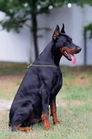 processed/f936fd13-7ab1-4b8e-b372-4e5d32ee3cea/facility/41bf83a6-dc79-4477-956a-f1f072663c1a