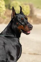 processed/f936fd13-7ab1-4b8e-b372-4e5d32ee3cea/facility/b64eecf0-b0e3-457f-a314-48cdaa1fc212