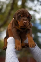 processed/f936fd13-7ab1-4b8e-b372-4e5d32ee3cea/facility/cfa2b9c8-75db-4992-8c25-55be90458593