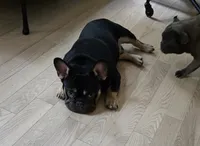 processed/f949e2bc-3645-44e0-be12-f0b3e1147036/listing/09728f53-3deb-4dbb-ad6b-134897e9c0d0/140a6d6b-03c9-481f-b22a-dd0901a0cd21