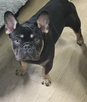 processed/f949e2bc-3645-44e0-be12-f0b3e1147036/listing/09728f53-3deb-4dbb-ad6b-134897e9c0d0/7c91de6b-470f-4fef-a250-a9b83e86579e