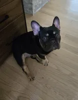 processed/f949e2bc-3645-44e0-be12-f0b3e1147036/listing/09728f53-3deb-4dbb-ad6b-134897e9c0d0/adc16add-bfb8-4dc7-a305-a27cb961bf05