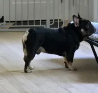 processed/f949e2bc-3645-44e0-be12-f0b3e1147036/listing/09728f53-3deb-4dbb-ad6b-134897e9c0d0/e75406f8-6963-490a-b555-a2e211e85da9