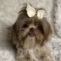 processed/f95107b6-f5b4-4bf3-8eae-a95a3558232e/facility/1ac9ced2-e261-45de-8b68-0e3f3a531ce2