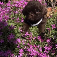 processed/f95107b6-f5b4-4bf3-8eae-a95a3558232e/facility/5426c260-d538-4af7-ba68-c8e9c3234384