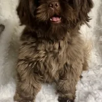 processed/f95107b6-f5b4-4bf3-8eae-a95a3558232e/facility/884536e4-7b8f-4478-bda9-5666ca3b3346