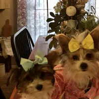 processed/f95107b6-f5b4-4bf3-8eae-a95a3558232e/facility/89e6dfc3-be8e-41a5-bce1-de7904e32d39