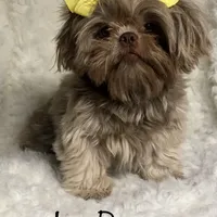 processed/f95107b6-f5b4-4bf3-8eae-a95a3558232e/facility/92542cee-3425-4378-a4f9-01ce6764584f