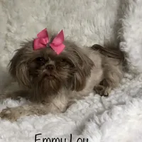 processed/f95107b6-f5b4-4bf3-8eae-a95a3558232e/facility/c728eef2-284f-4b92-988d-d182adfe1bc6