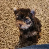 processed/f95107b6-f5b4-4bf3-8eae-a95a3558232e/facility/d9bc7632-82fe-4dba-9b2d-b284eb8a9e73