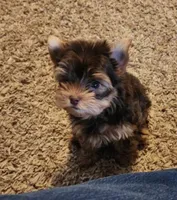 processed/f95107b6-f5b4-4bf3-8eae-a95a3558232e/facility/d9bc7632-82fe-4dba-9b2d-b284eb8a9e73