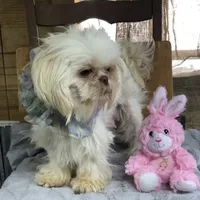 processed/f95107b6-f5b4-4bf3-8eae-a95a3558232e/facility/f11e5f59-98cd-4f41-b76f-a9f7ce9bcdef