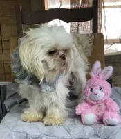 processed/f95107b6-f5b4-4bf3-8eae-a95a3558232e/facility/f11e5f59-98cd-4f41-b76f-a9f7ce9bcdef