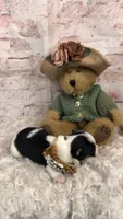 AKC Parti girl, a female Yorkshire Terrier for sale in Tahlequah, OK – 5 of 5
