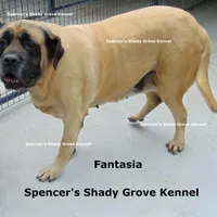 processed/f952aaee-cca1-46e9-9308-e8aa736625c3/facility/82b7cfef-ce35-4d93-b54e-59d3ccee15db