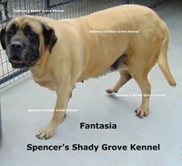 processed/f952aaee-cca1-46e9-9308-e8aa736625c3/facility/82b7cfef-ce35-4d93-b54e-59d3ccee15db