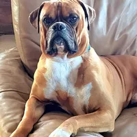 processed/f952aaee-cca1-46e9-9308-e8aa736625c3/facility/c8f1a1ae-d1be-4192-8b4d-324d2ce3be6b