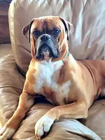 processed/f952aaee-cca1-46e9-9308-e8aa736625c3/facility/c8f1a1ae-d1be-4192-8b4d-324d2ce3be6b