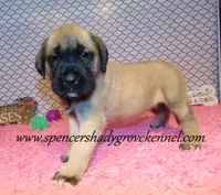 processed/f952aaee-cca1-46e9-9308-e8aa736625c3/listing/0a3e1278-1655-4a0d-a620-f2ee71a9d6f2/63e1c8f8-72d5-4504-87f1-df58e6060dff