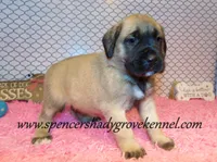 processed/f952aaee-cca1-46e9-9308-e8aa736625c3/listing/0a3e1278-1655-4a0d-a620-f2ee71a9d6f2/67c0374b-ea4e-44d7-ba72-28143091f8fd