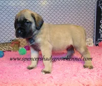 processed/f952aaee-cca1-46e9-9308-e8aa736625c3/listing/0a3e1278-1655-4a0d-a620-f2ee71a9d6f2/75ae2319-af52-457f-8ce5-e60403780bb7