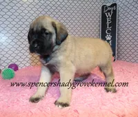 processed/f952aaee-cca1-46e9-9308-e8aa736625c3/listing/0a3e1278-1655-4a0d-a620-f2ee71a9d6f2/da80a022-644f-4043-b1c9-e1bdeae7de05