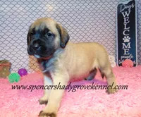 processed/f952aaee-cca1-46e9-9308-e8aa736625c3/listing/0a3e1278-1655-4a0d-a620-f2ee71a9d6f2/f5d19dbf-6f27-4889-9907-3e4a658d2cda