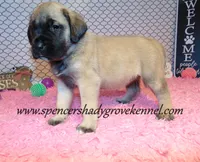 processed/f952aaee-cca1-46e9-9308-e8aa736625c3/listing/0a3e1278-1655-4a0d-a620-f2ee71a9d6f2/fe3375d0-0a44-4fd3-b97a-c781ef2f78d9