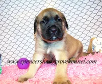 processed/f952aaee-cca1-46e9-9308-e8aa736625c3/listing/25591675-5b01-4dcb-8e5f-28f7b34a2847/265f139b-6e70-461d-be5b-c3a2e4c6609d