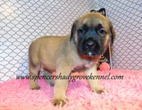 processed/f952aaee-cca1-46e9-9308-e8aa736625c3/listing/25591675-5b01-4dcb-8e5f-28f7b34a2847/28212bc4-2d06-4ebd-a15e-ccfdd5d886f3