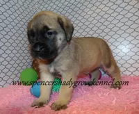 processed/f952aaee-cca1-46e9-9308-e8aa736625c3/listing/25591675-5b01-4dcb-8e5f-28f7b34a2847/84bd9c11-2e33-4034-a128-75d8eaaf2f9f