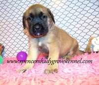 processed/f952aaee-cca1-46e9-9308-e8aa736625c3/listing/25591675-5b01-4dcb-8e5f-28f7b34a2847/a5c9b15a-ab21-4cab-9609-daa374c48bbe